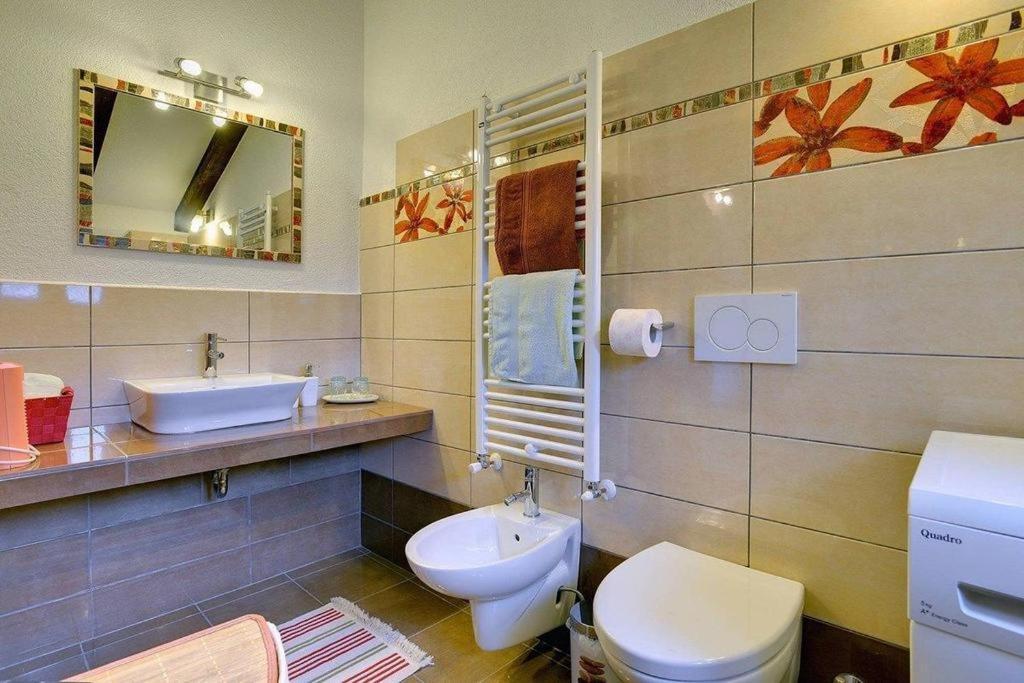 הוילה Žminj Casa Karnevali מראה חיצוני תמונה